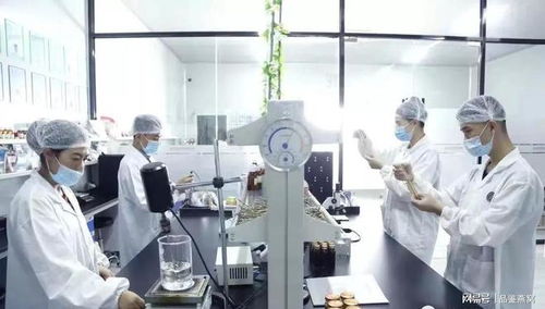 從配方到服務(wù)，頂尖燕窩定制工廠如何以環(huán)境監(jiān)測儀打造產(chǎn)品差異化